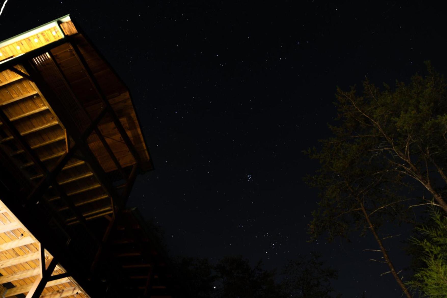 Heavenly Bliss By Ghosal Luxury Lodging 세비어빌 외부 사진